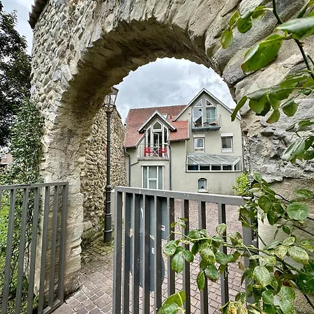 Stadtgarten *