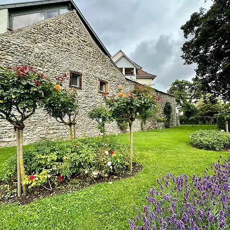 Apartment Stadtgarten Radolfzell am Bodensee